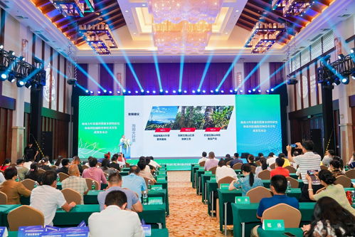 海南大葉茶 山茶家族的新成員，熱帶雨林的獨(dú)特饋贈(zèng)